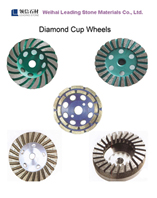  Cup Wheel (Coupe de roue)