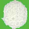  Corn Starch (Amidon de ma)