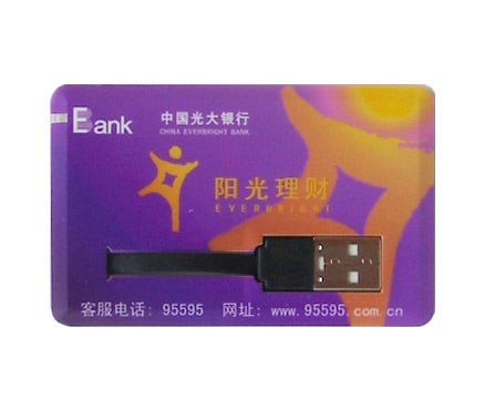  USB Flash Cards (USB флэш-карт)