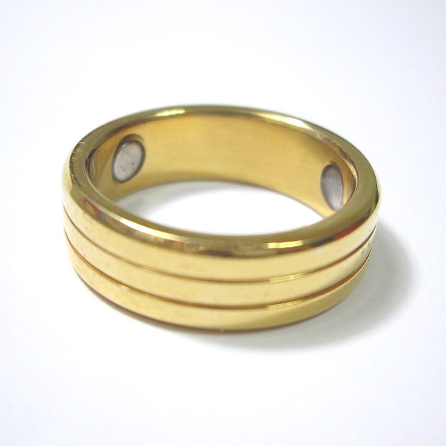 Stainless Steel Ring (Stainless Steel Ring)