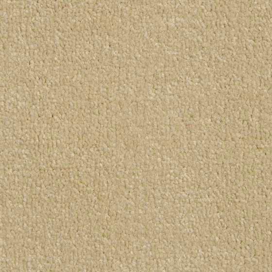  Carpet ( Carpet)