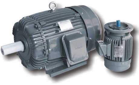  Three-Phase Induction Motor