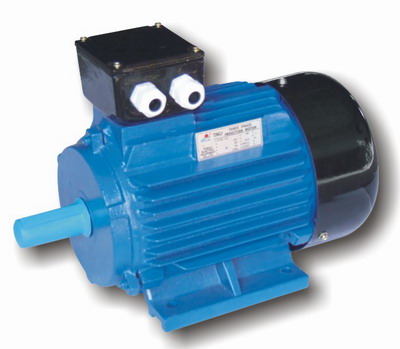  Three-Phase Induction Motor