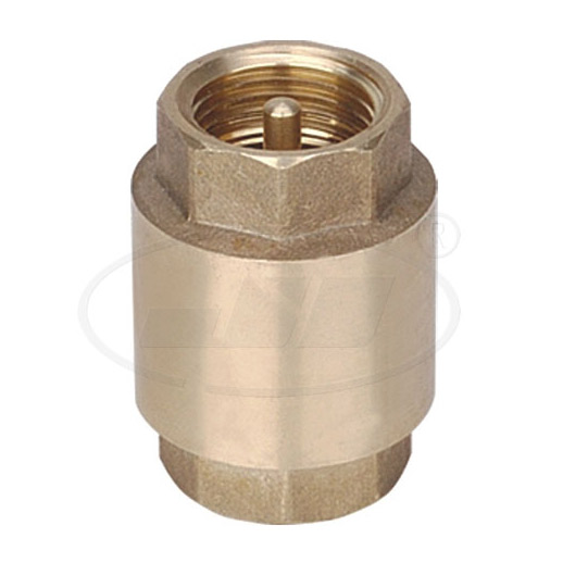  Check Valve (Check Valve)