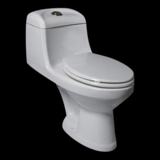  Toilet Seat (DLA003)