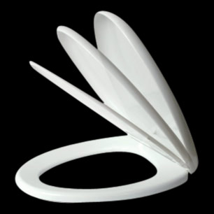  Toilet Seat (DLA006)