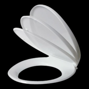  Toilet Seat (DLA011)