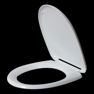  Toilet Seat (DLA013)