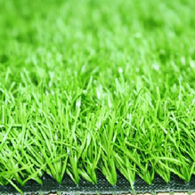 Leisure Grass (Leisure Grass)