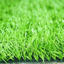  Leisure Grass ( Leisure Grass)