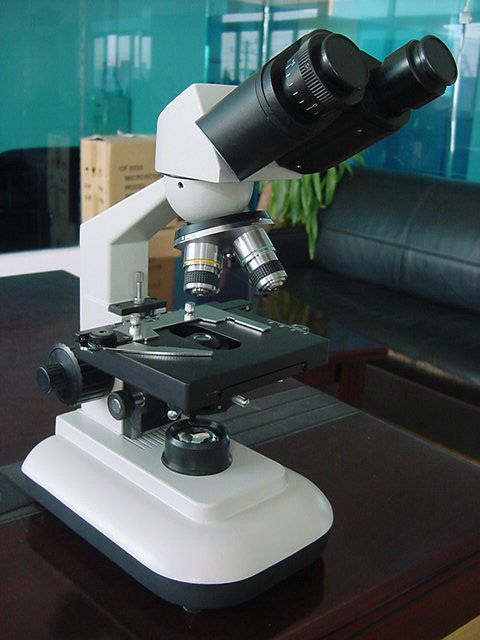  Microscope (Mikroskop)