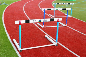  Hurdle ( Hurdle)