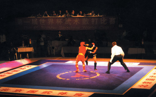  Sanda Platform (Sanda Plattform)