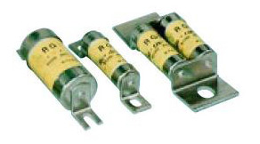  RGS Series Fuse ( RGS Series Fuse)