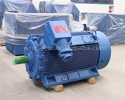  Electric Motor ( Electric Motor)