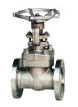  ANSI Gate Valve (Forged Steel)
