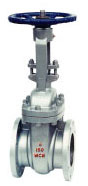  ANSI Gate Valve (Cast Steel)