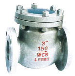  ANSI Check Valve