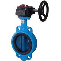  Cast Iron Gear Box Butterfly Valve