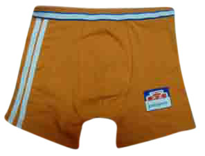  Boys` Boxers