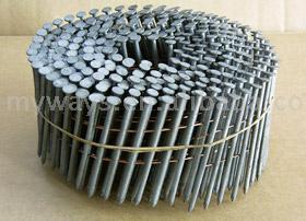 Hot Dipping Galvanized Coil Nail (Immersion à chaud galvanisé Coil Nail)