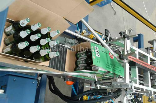  Wrap Round Packing Machine (Wrap Round Packing Machine)