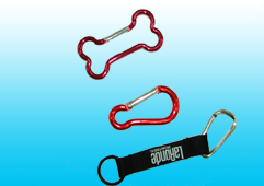 Lanyard Key Chain (Шейные шнурки Key Chain)