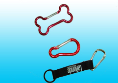 Lanyard Key Chain (Schlüsselband Schlüsselanhänger)