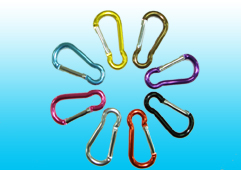 Lanyard Key Chain (Lanyard Key Chain)