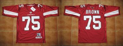 Arizona Cardinals Brown Sportswear