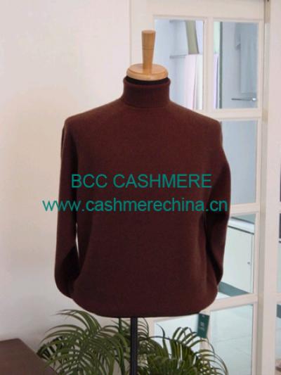 cashmere sweater (cashmere sweater)