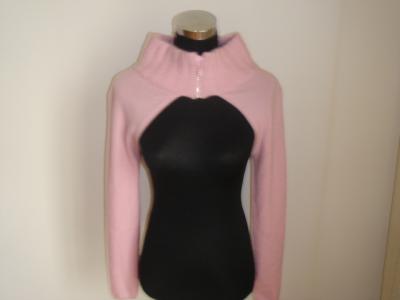 women`s sweater (Women `s chandail)