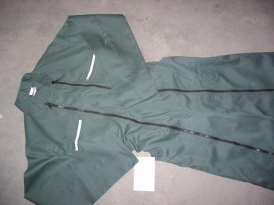 Overall (Overall)