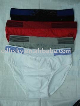 Designer Man Underwear (Designer Man Underwear)