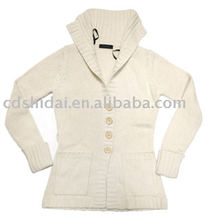 Ladies `Sweater (Ladies `Sweater)