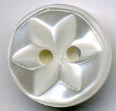 Polyester-Button (Polyester-Button)