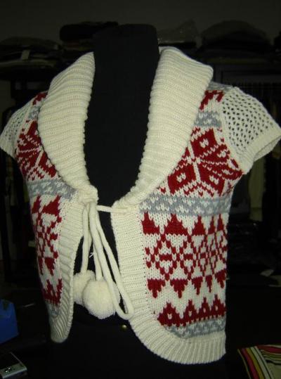 sweater (sweater)