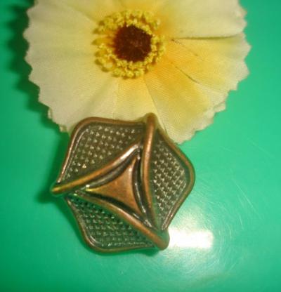 Plasic Button (Plasic Button)