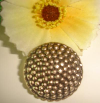 Plastic Button