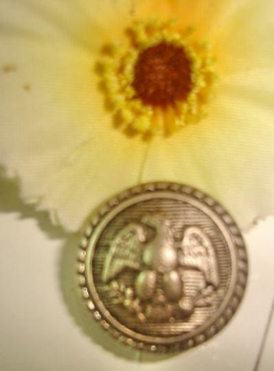 Plasic Button (Plasic кнопки)