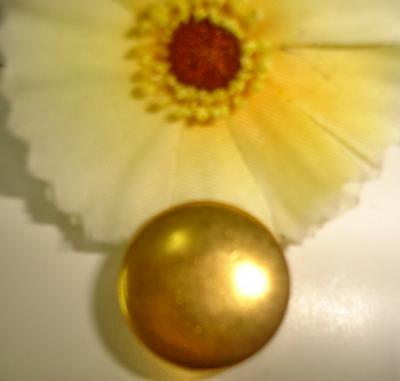 Plasic Button (Plasic кнопки)