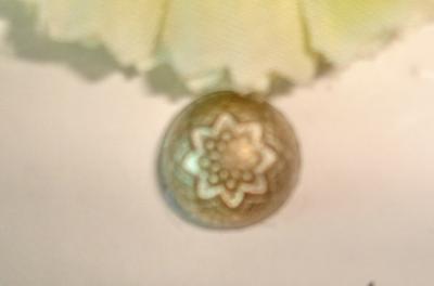 Metal Button (Metal Button)