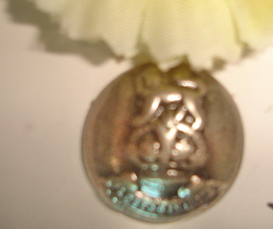 Metal Button (Metal Button)