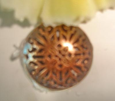Metal Button (Metal Button)