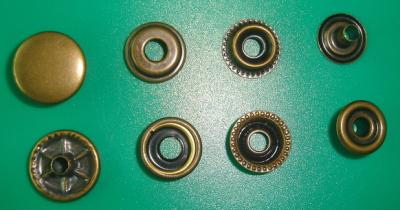 Snap Button (Snap Button)