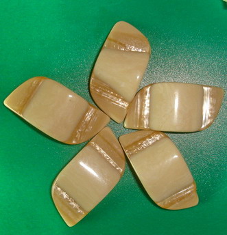 Resine Button