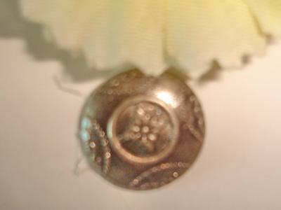 Metal Button (Metal Button)