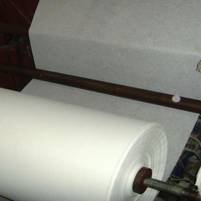 Nonwoven Interlining