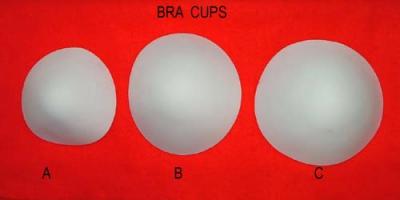 Bra CUPS (Bra Cups)