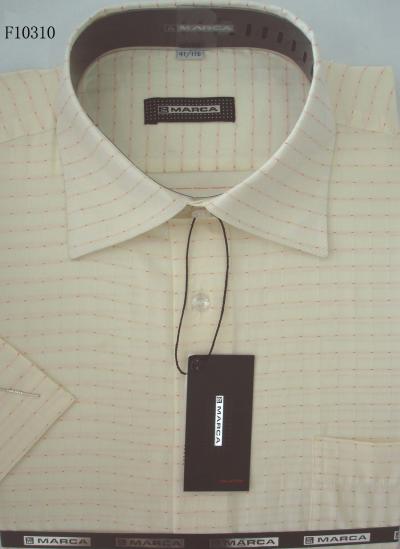 men`s shirt (мужские рубашки)